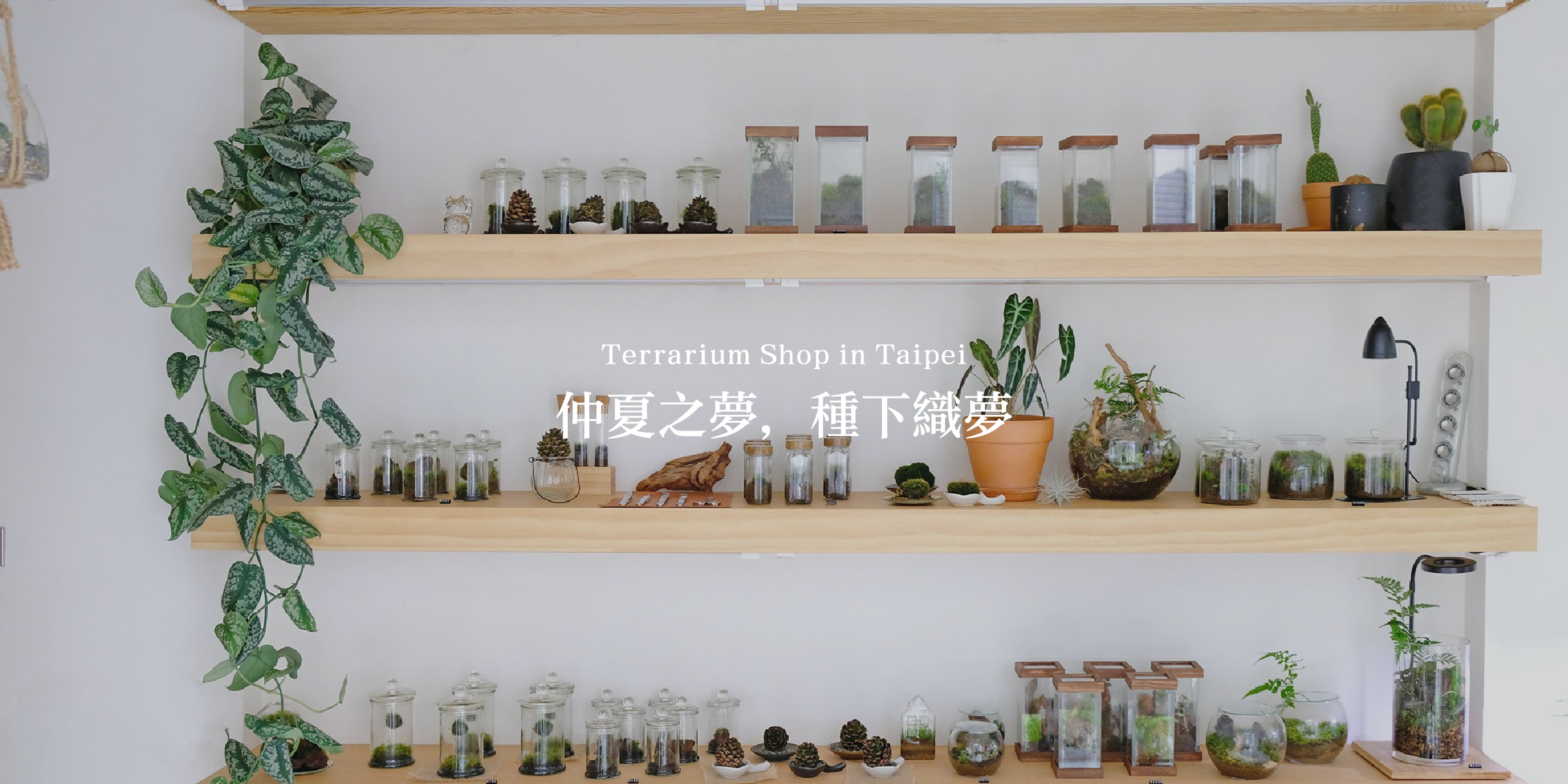zhong_sia_plant種下生態瓶專賣店